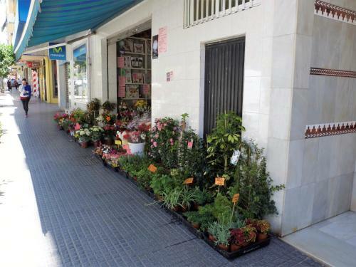 Apartamento La Victoria Flat