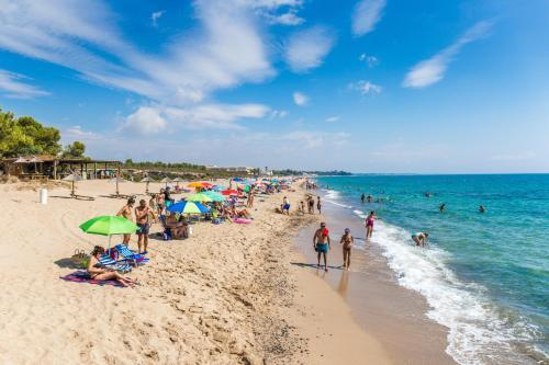 Pino Alto Holiday Homes Martin 15