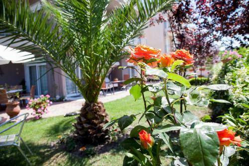 Apartments Eleni 4 Seasons