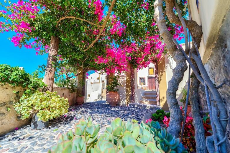 Apartamento Guest House Kalitsi