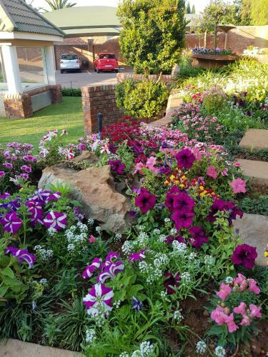 Bed & Breakfast Jolani Guest House