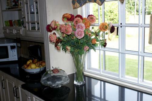 Bed & Breakfast Jolani Guest House