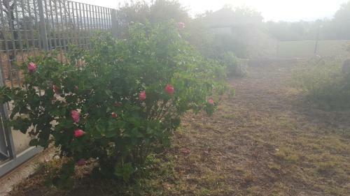Bed & Breakfast Villa Renzo E Lucia