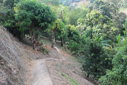 Agroturismo Finca La Lorenza