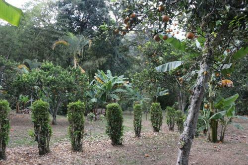 Agroturismo Finca La Lorenza