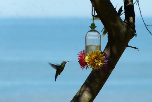 Lodge Caba�as Puerto Diablo
