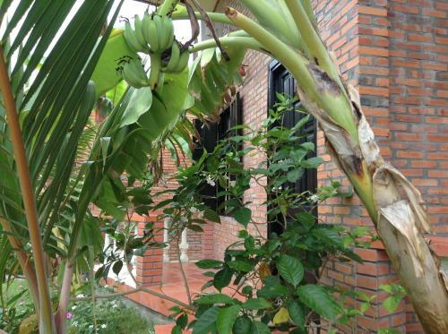 Hostal Sea Winds Resort