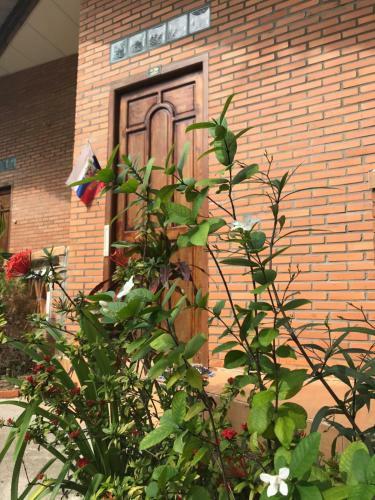Hostal Papaya Guest House