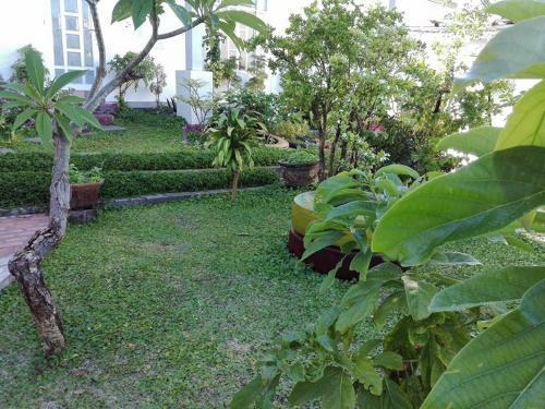 Hostal M-anh Hotel