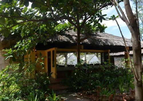 Hotel Longson Muine Backpacker Paradise