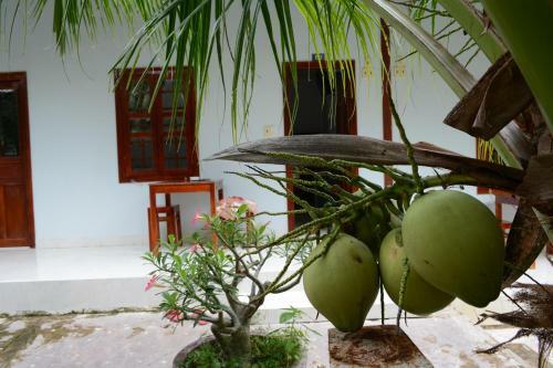 Hostal Diem Lien Guesthouse