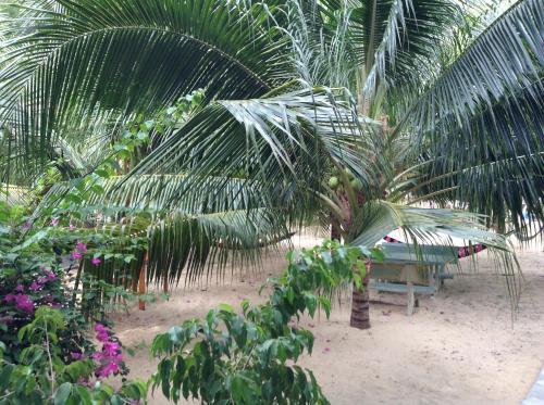 Hostal Cocosand Hotel