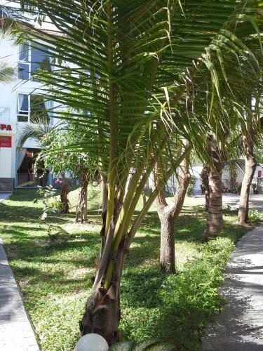 Hotel Dessole Beach Resort Mui Ne