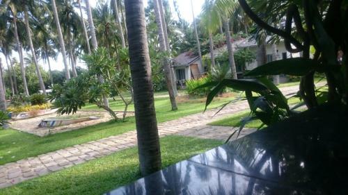 Cat Sen Auberge