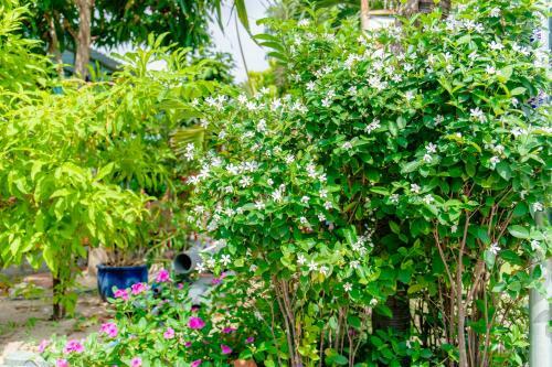 Song Huong Hotel