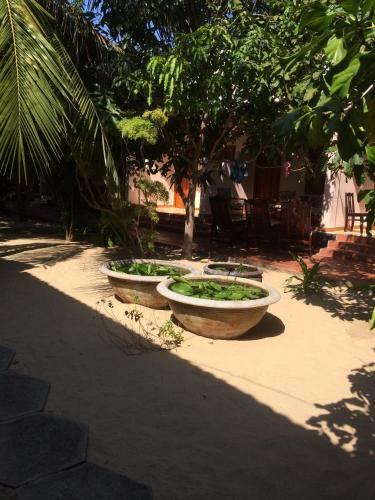 Hostal Anh Trang Guesthouse