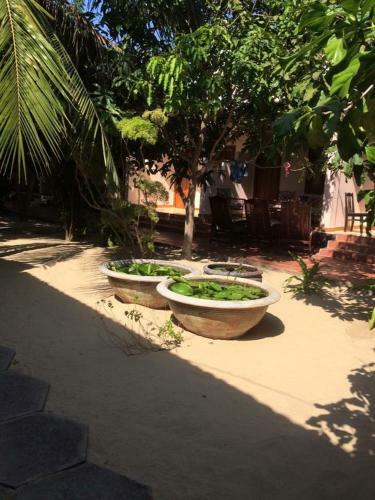 Hostal Anh Trang Guesthouse