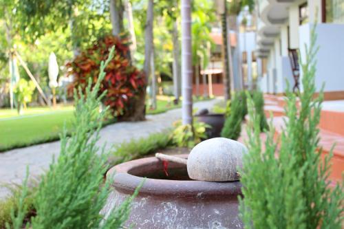 Hotel Coral Sea Resort