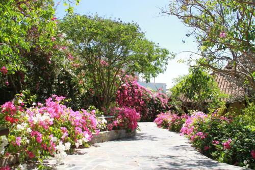 Hotel Poshanu Resort