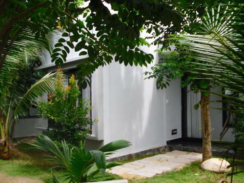 Villa Van Nguyen Minihouse