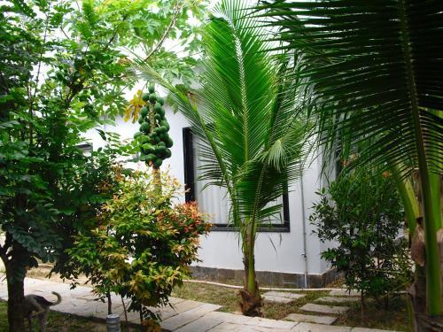 Villa Van Nguyen Minihouse