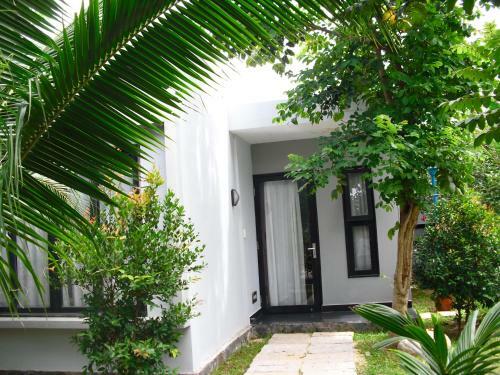 Villa Van Nguyen Minihouse