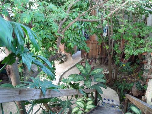 Residencia Casitas Kinsol