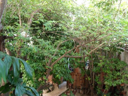 Residencia Casitas Kinsol