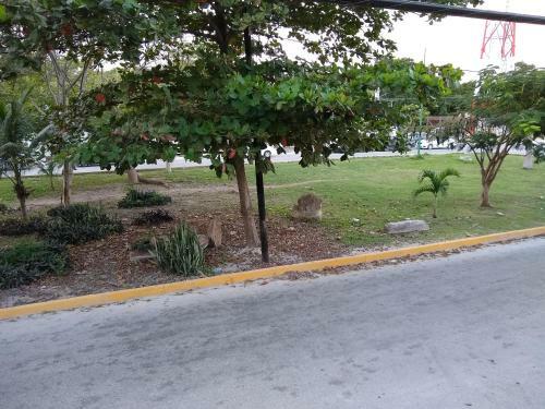 Residencia Casitas Kinsol