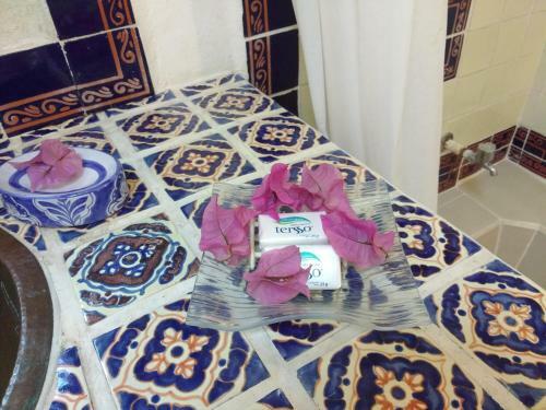 Residencia Casitas Kinsol
