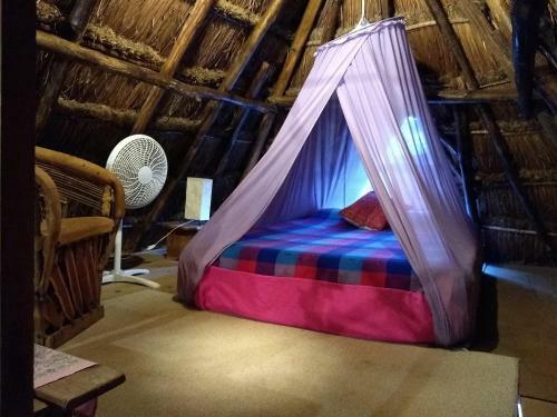 Residencia Casitas Kinsol