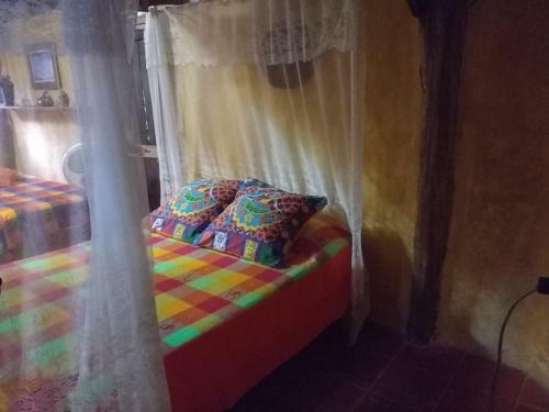 Residencia Casitas Kinsol