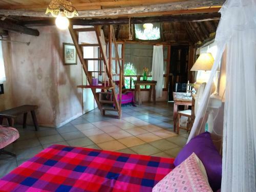 Residencia Casitas Kinsol