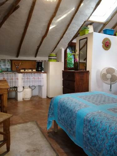 Residencia Casitas Kinsol