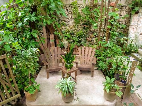 Residencia Casitas Kinsol