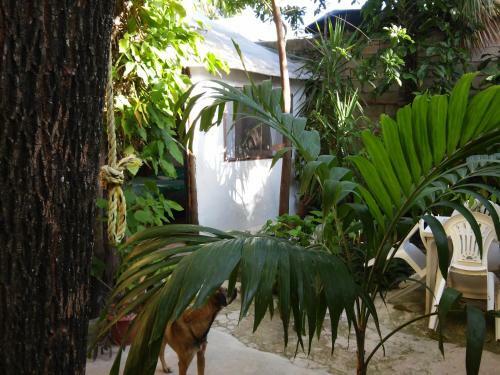 Residencia Casitas Kinsol