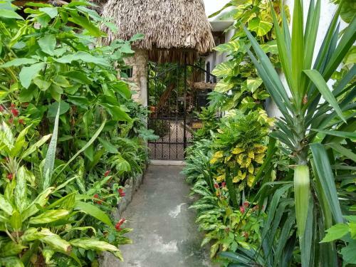Residencia Casitas Kinsol