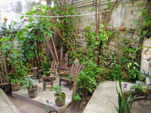 Residencia Casitas Kinsol