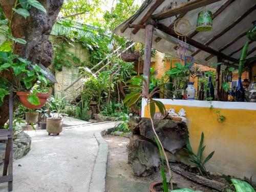 Residencia Casitas Kinsol