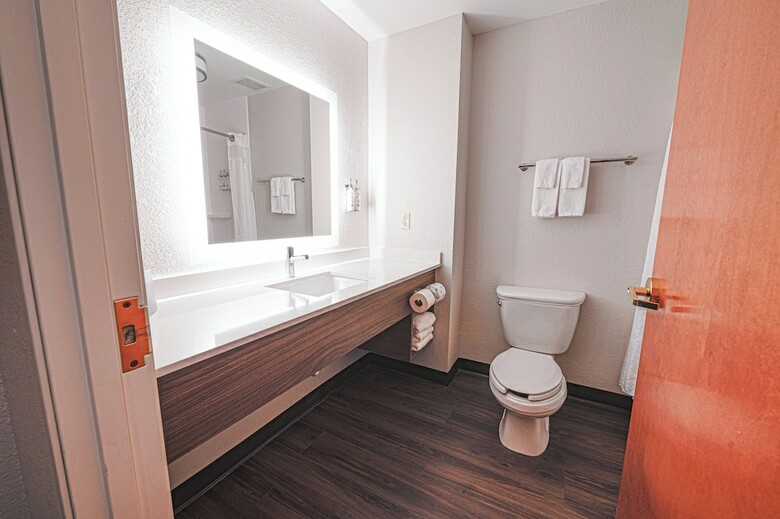 Holiday Inn Express Hotel & Suites East Lansing