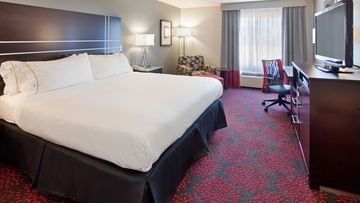 Hotel Holiday Inn Express Fremont