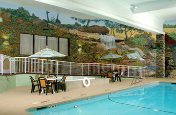 Holiday Inn Hotel & Suites Des