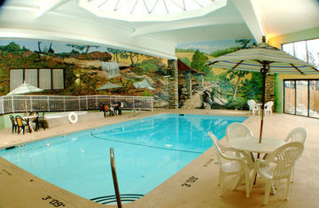 Holiday Inn Hotel & Suites Des