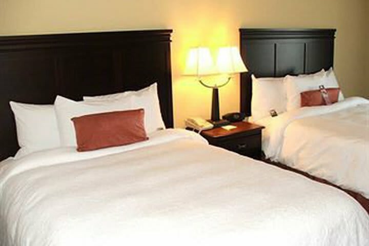Hotel Hampton Inn Suites Greenville