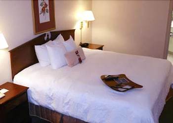 Hotel Hampton Inn Hanover Pa