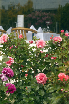 Kingsgate Hotel Te Anau