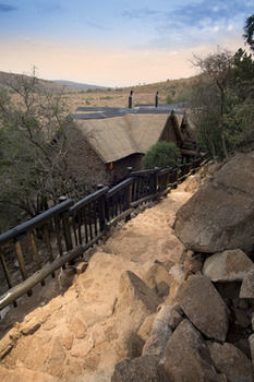 Hotel Tshukudu Bush Lodge