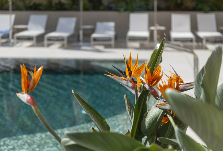 Aqua Hotel Promenade & Spa 4 Sup
