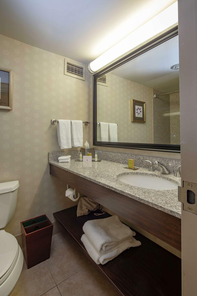 Hotel Doubletree By Hilton Pittsburg