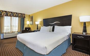 Holiday Inn Express Hotel & Suites Somerset East